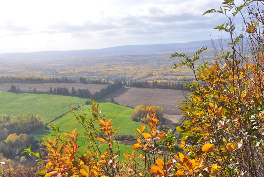 Fall countryside as seen from Greenhill Oct. 25.