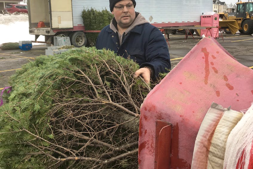 Brad Thompson loads another Christmas tree at a lot in New Glasgow.