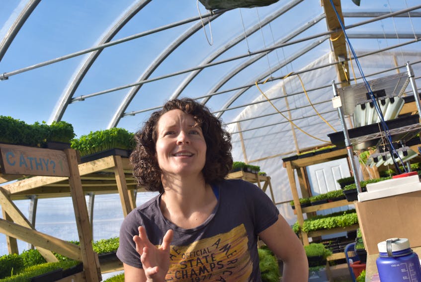 At Bramble Hill farms Cathy Munro is getting ready to harvest. Every Thursday she personally delivers microgreens to fifteen different wholesalers between Pictou and Halifax.