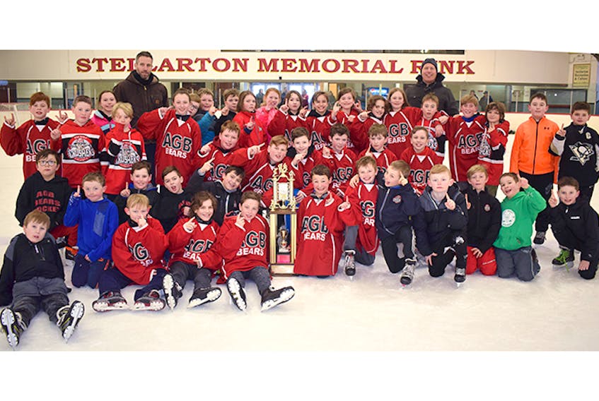For the first time in a decade, the A.G. Baillie Bears recently captured the Pictou County Elementary School hockey title.