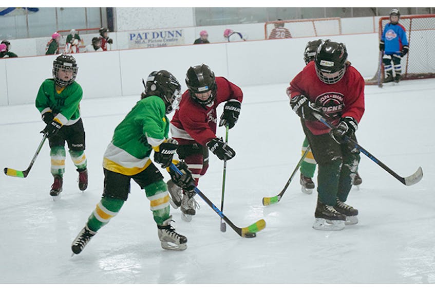 A group of Novice-aged players recently gathered to play some games at Trenton rink.