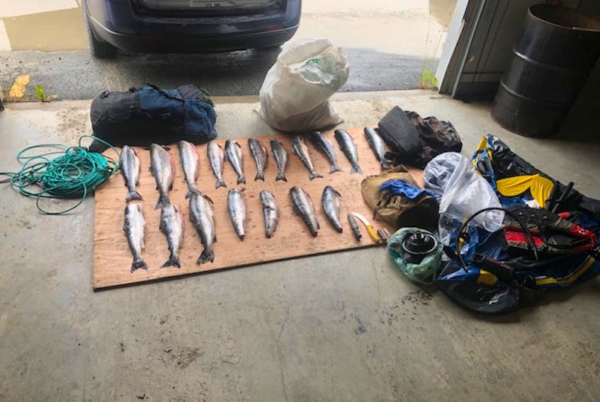 An investigation into illegal netting of Atlantic Salmon by provincial fisheries and wildlife enforcement officers in July 2019 resulted in a pair of convictions. Contributed photo