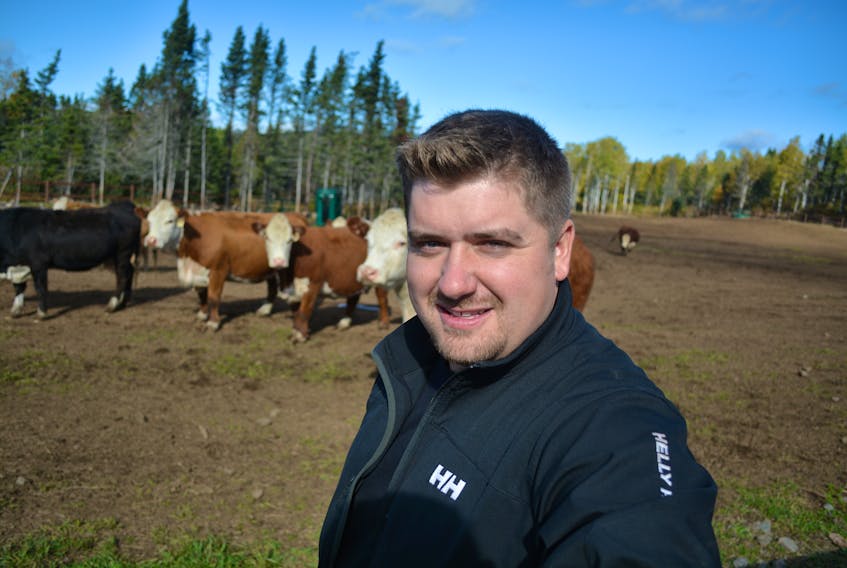Spring Meadow Farm owner Tim Young is one of three cattle farmers in the province taking part in the government’s Beef Cattle Enhancement Demonstration Project.