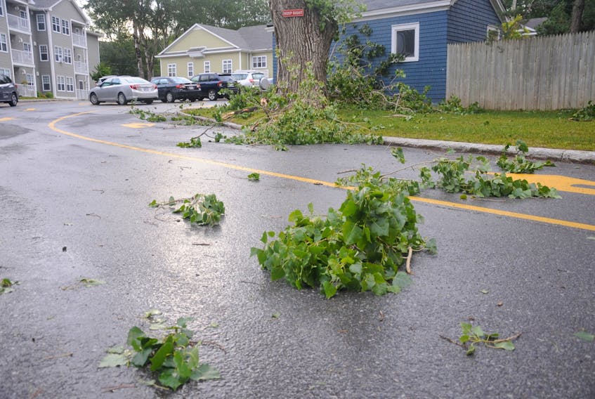 The first phase of Hurricane Dorian’s arrival in western Newfoundland cracked off some trees and broke off branches, like these in the lower Townsite area of Corner Brook.