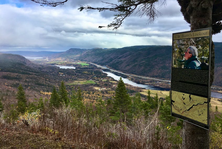 It’s not hard to see why Dr. Barry May was drawn to this spectacular view of the Humber Valley from the hills above his home in Humber Village.