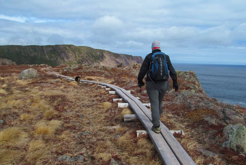 Janny VanHouwelingen took advantage of the fair weather and went for  a nice long walk with the dog  along Sugar Loaf Path - part of the East Coast Trail on the Avalon Peninsula, N.L.