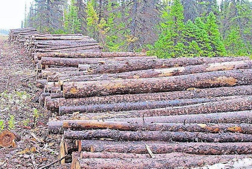 Some residents are concerned about the possibility of clearcutting being conducted on the Great Northern Peninsula.