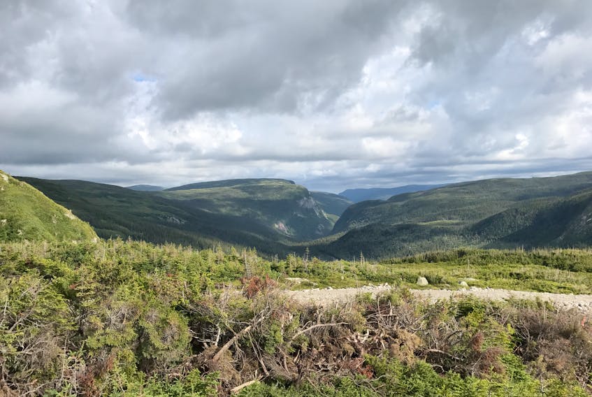 This view of the Portland Creek Gorge is one of the many offered from the new road that courses along the new transmission line on the Northern Peninsula.