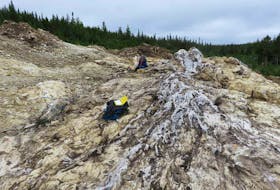 Photo from 2017 field work shows a quartz vein that yielded significant results for silver and base metal potential on the Altius Minerals Sail Pond property located roughly 18 kilometres northeast of Roddickton, 20 kilometres southeast of Main Arm and nine kilometres southwest of Croque. - Courtesy Altius Minerals