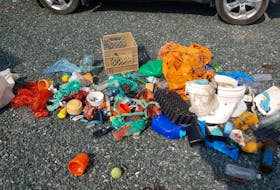 Garbage collected from 300 metres of coastline laid out on the author’s driveway.