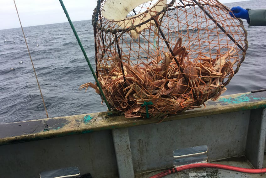 The crab fishery is underway for harvesters across the Great Northern Peninsula. While catch rates are varying, travelling ice and rough weather has been a problem for many this season.