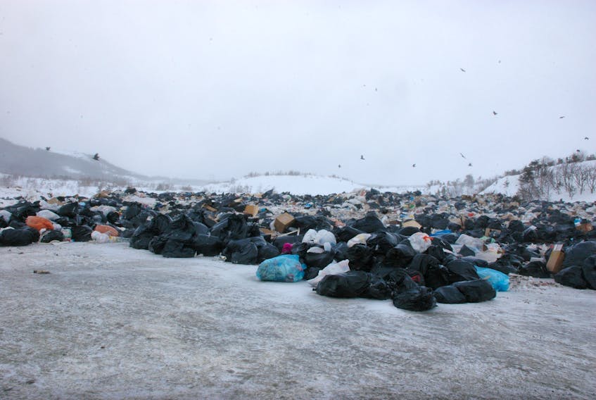 According to McDonald, the landfill - located just a few kilometres away from St. Anthony - has been in operation for at least 30 years. He said there's not enough space for it to continue as a dumping ground for the whole region.
