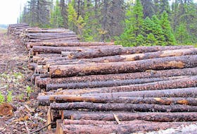 Whether or not two five-year permits in forestry management areas 17 and 18 on the Northern Peninsula have been issued requires clarification.