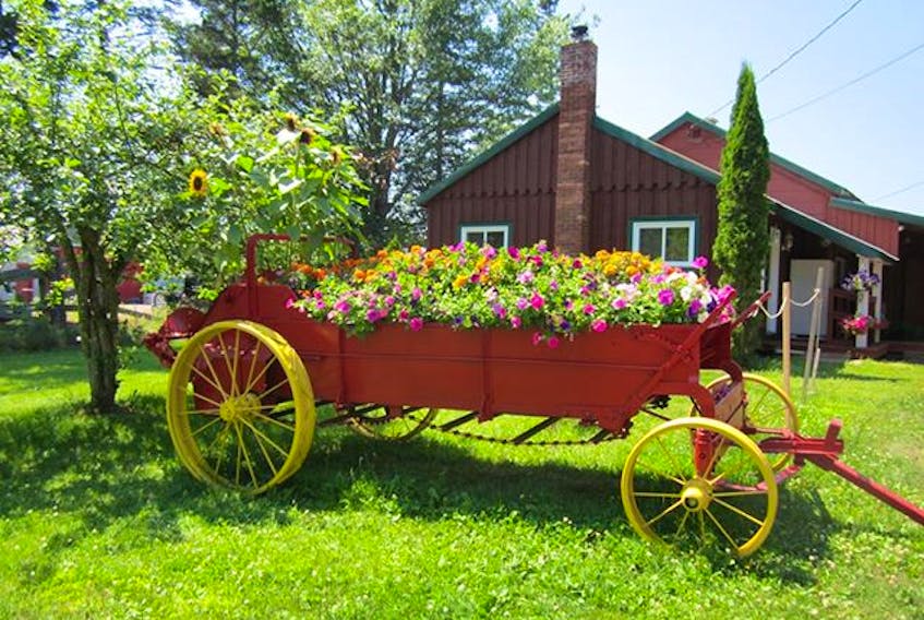 Jocelyn Corcoran sent this photo from Parrsboro, N.S. that looks like something out of a fairytale. She credits a vendor, Debra Wolsey, whose boyfriend has a green thumb - and a talented thumb it is!