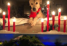 Lillian McKinnon sent this lovely photo of her five-year-old Wheaten Terrier, Macallan, from Glace Bay, N.S. She said he loves Santa, and wishes there won't be much snow this holiday season.