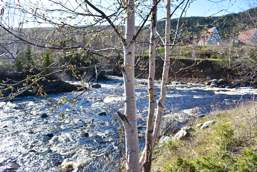 The Baie Verte salmon river has chlorine leaking into it from the town’s water system. Council has applied for emergency assistance funding.