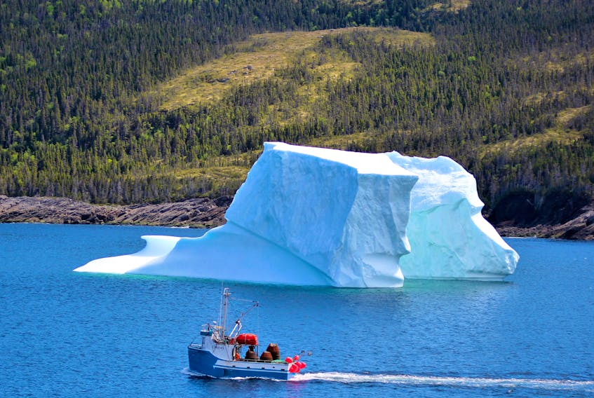 On Monday, a local fishing boat gets in for a closer look at the icebergs that are in Fleur de Lys harbour on the Baie Verte Peninsula.