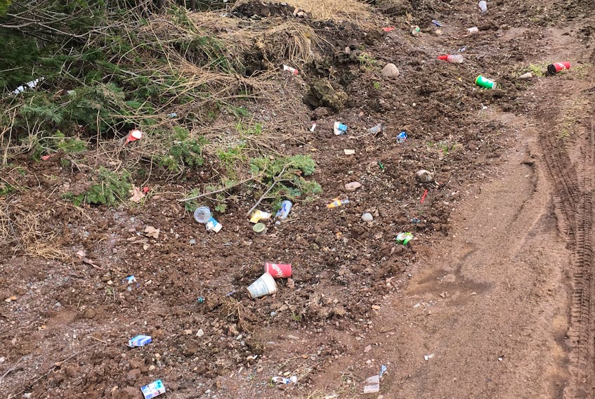 Mike Critch is saddened and frustrated with the amount of litter in the east end area of Springdale. He offered a $250 donation to a community group to clean it up.