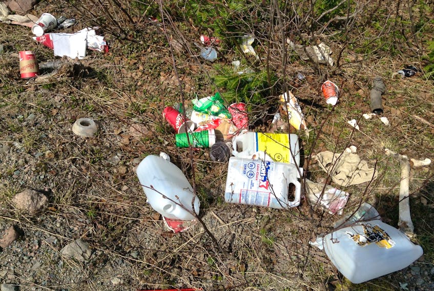 Every spring when the snow melts the amount of litter and garbage thrown out near the Baie Verte junction is exposed. It is always a topic of contention for residents of the Baie Verte and Springdale areas.