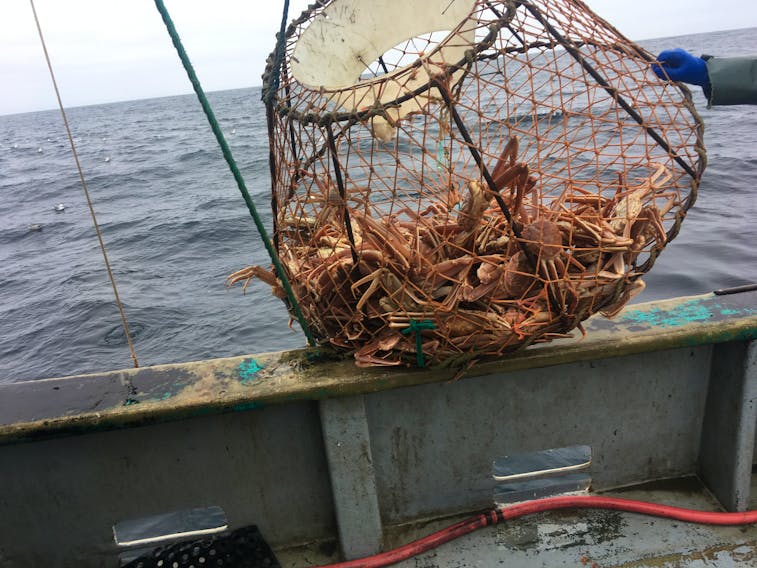 Jamie Seymour of Baie Verte captured this photo as he participated in an experimental fall crab fishery this season.