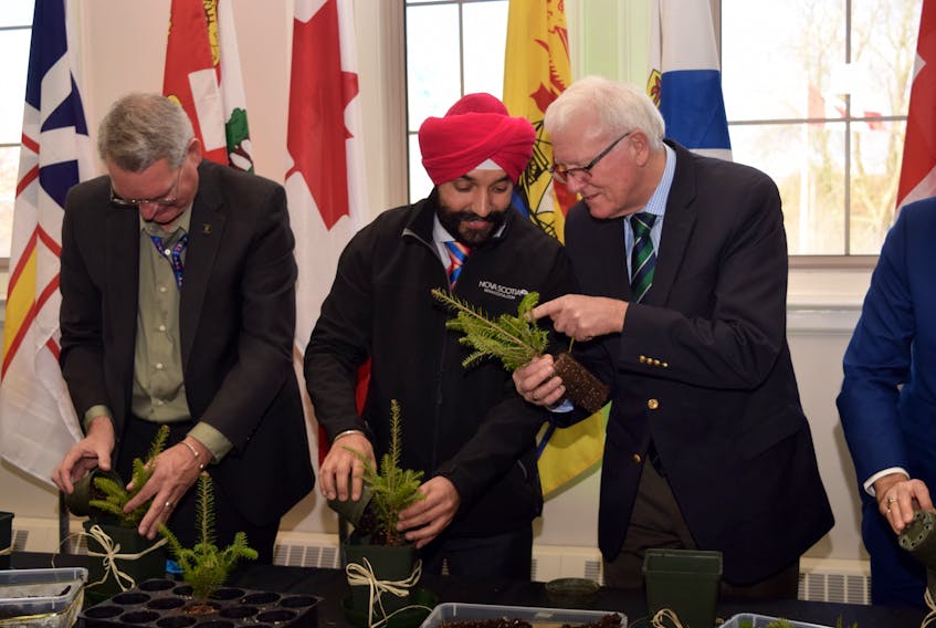 Minister Navdeep Bains, left, and Bill Casey, MP for Cumberland-Colchester, both spoke about the potential this new Christmas tree has for increasing local economies and bringing new opportunities to communities around Atlantic Canada.
CODY MCEACHERN - TRURO DAILY NEWS