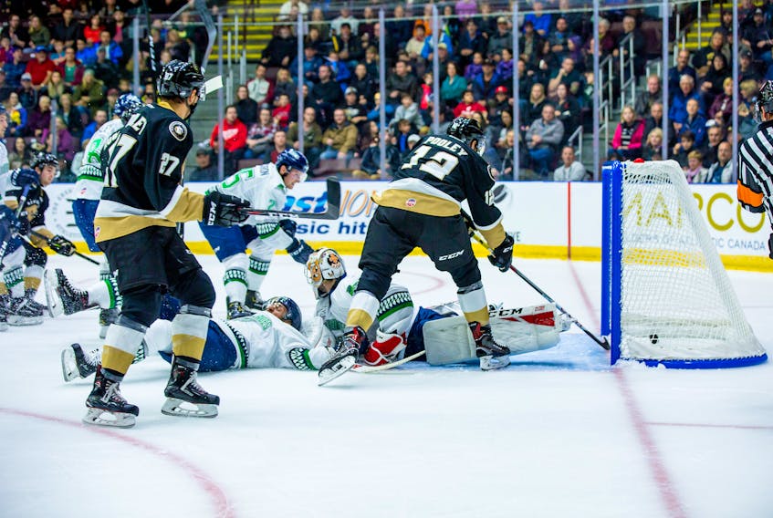 Newfoundland Growlers photo/Jeff Parsons - Scott Pooley of the Newfoundland Growlers makes certain the puck is in the net as Kristians Rubins scored the first goal in Growlers’ history Friday night in a 3-2 win over the Florida Everblades and goaltender Jeremy Helvig. To the left is Growlers forward Matt Bradley.