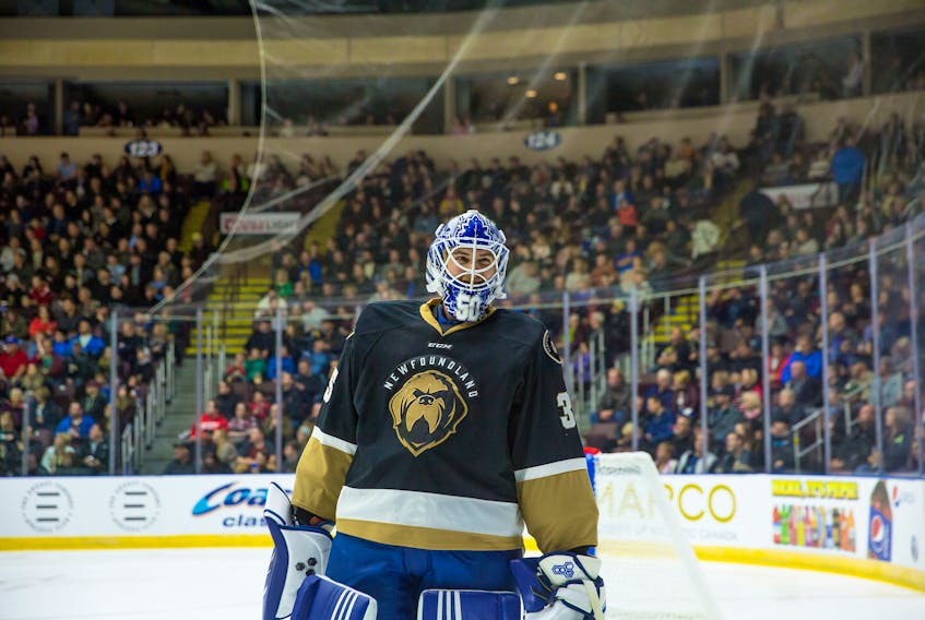 Goaltender Eamon MacAdam is shown during the Newfoundland Growlers' first-ever ECHL regular-season game at Mile One Centre Friday night. MacAdam, who got the decision in a 3-2 win over the Florida Everblades, was recalled by the parent Toronto Maple Leafs on Monday. — Newfoundland Growlers photo/Jeff Parsons