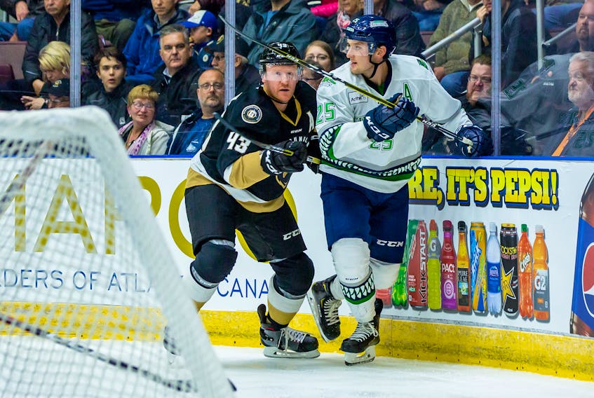 Newfoundland Growlers defenceman James Melindy (left) and Florida Eveblades forward John McCarron (25) are shown in action at Mile One Centre where the two teams opened their ECHL seasons over the weekend. McCarron once played briefly for the AHL's St. John's IceCaps and is the brother of former IceCaps and Montreal Canadiens first-rounder Michael McCarron. — Newfoundland Growlers photo/Jeff Parsons