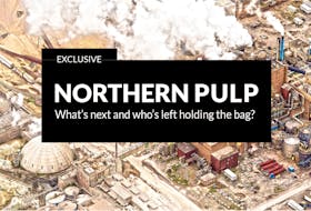 Banner for Northern Pulp series of stories published in Jan. 2019