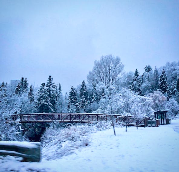 The first snowfall of the season is not always welcome but it’s often very beautiful.  Krista Miller shows us what that first snowfall looked like at Margaret Bowater Park in Corner Brook, N.L.  Krista says: “many motorists were not prepared for the driving conditions - although it was very picturesque…