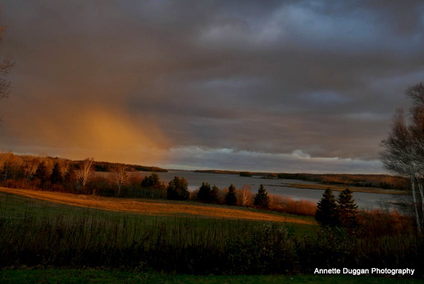 For Annette Duggan, the day got off to a dull grey start, until she noticed this patch of light crossing the Pomquet Harbour. A ray of morning sun managed to peek through the November clouds and light up a shaft of moisture streaming towards the water.  Not long after, Mother Nature served up some cosmetic snow for all the residents of  Antigonish County to enjoy.