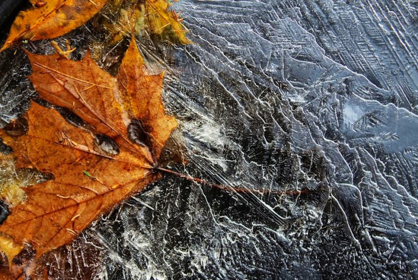 This stunning photo tells the story of autumn in Atlantic Canada.  Marjorie Zwicker, of Auburndale NS, calls it “Caught between the Seasons”. 

While tidying up the flower garden before old man winter set in, Marjorie noticed this interesting "combination" on the cover of her water barrel.  She says: “the leaves of autumn caught in the icy grip of last night's heavy frost - a prelude to winter”.


The photos you share with us are amazing… please keep them coming: www.weatherbyday.ca