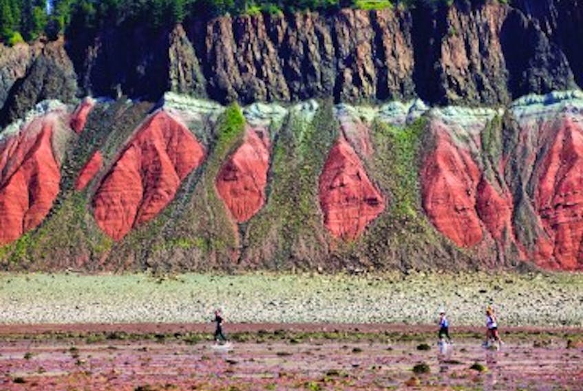 The Old Wife is one of many unique geological attractions along the Fundy shore.