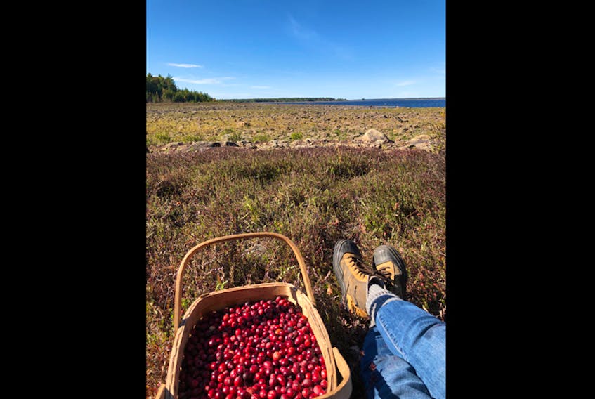 Picking wild cranberries along the shores of Lake Rossignol in Queens County, NS, is an annual fall tradition for Robin Anthony and her family. They do their best to pick a perfect day in mid-October and combine berry picking with picnicking, exploring, and sitting back to savour the sounds of nature. 
Robin is well versed in the history of the region saying: “the lake’s boggy shores were formed as a result of the area flooding after hydroelectric dams were built on the Mersey River in the 1920s. 

Robin’s much-used and loved berry basket is by local Mi’Kmaq basket artist, Cyril Mooers.