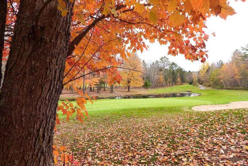 Rod MacDonald took this shot from the Number 4 hole at the Paragon Golf Course in Kingston, N.S. last Sunday. He said, "...the club was very kind to allow me access to the property. I’m very much an amateur photographer but I really enjoy golf course scenes, especially in the autumn." We really enjoyed this photo too, Rod. Thank you for sharing.