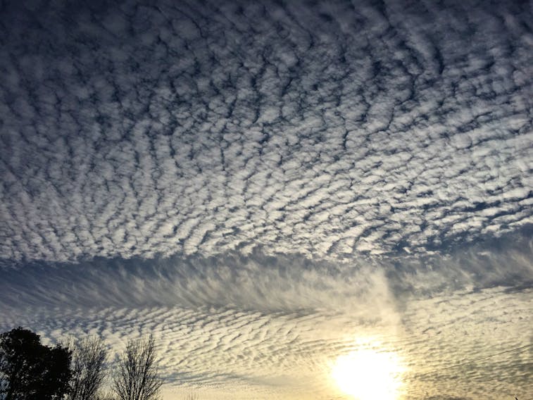 Our ancestors believed that there were many signs of changing weather all around us.  This is what the late afternoon sky looked like over Heatherton NS last Tuesday. 
Kevin MacDonald snapped the photo but I wonder if he knew it was a mackerel sky?  Grandma Says: “mackerel sky, mackerel sky, never long wet, never long dry.”