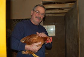 Sandy Keel with one of his 12 chickens. He says he’s raised chickens and ducks his entire life.