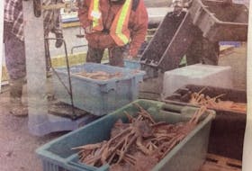 A dockside monitor double checks the crab weight for a couple of fishermen offloading their catch in Arnold's Cove last week. Crab prices fell to $1.50 a pound for the current two-week reporting period. - Packet file photo