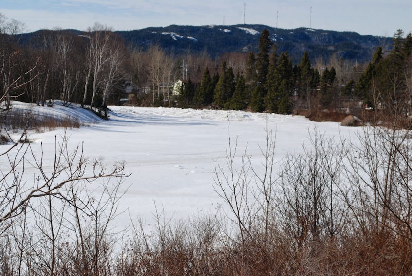 Shoal Harbour River on Friday, March 15.