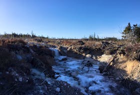 A submitted photo of an example of the clearcutting residents of Port Blandford say is coming to their area. This clearcut is several years old on the forestry road between Port Blandford and Bunyan’s Cove.