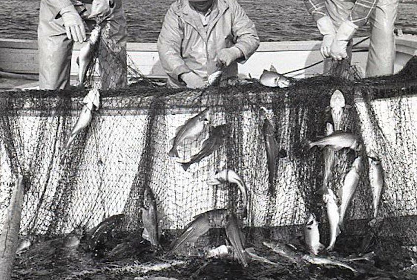 Men hauling a cod trap in Bonavista in 1988.
