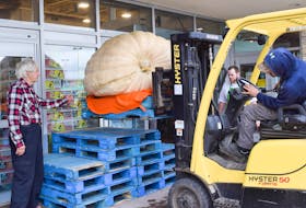 Tom Dudka directs a forklift unloading his giant pumpkin. The pumpkin weighed 1,080 pounds and will be on display at the Aberdeen Sobeys in New Glasgow.