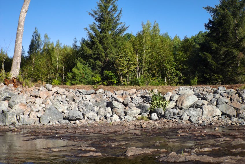 An eroding bank on the West River in Salt Springs Provincial Park was stabilized by the Pictou County Rivers Association.