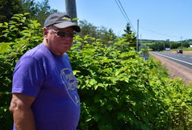 Cal Joslin stands in front of a large growth of Japanese knotweed at the end of his street, which exits onto the Trans-Canada Highway in DeSable. Michael Robar/The Guardian