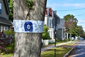 Monica Lacey created this lace-y piece, wrapped around an American elm in downtown Charlottetown.