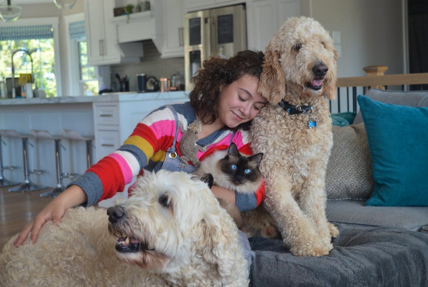 Alyssa Rix, 13, of Stratford says no home is complete unless it’s full of animals. She’s pictured here with two of her golden doodle dogs, one of her three cats and, if you look closely, a bearded dragon. Alyssa’s passion for animals helped inspire she and her 12-year-old cousin to make bracelets and cookies, sell them and donate the money to the P.E.I. Humane Society. Dave Stewart/The Guardian