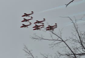 The Canadian Forces Snowbirds took to the skies over Prince Edward Island Wednesday morning.