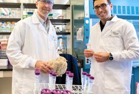 Russell Kerr and Ali Ahmadi are shown in a UPEI research lab.