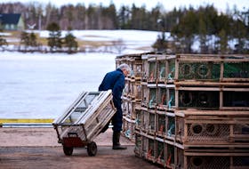 Dalis Peters loads lobster traps in North Rustico on Monday, April 6, 2020. The P.E.I. government announced Tuesday that it is looking at ways to open the fishery safely this spring.