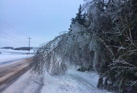 Maritime Electric provided this picture taken by Bill Jameson (@PEI_Stormchaser on Twitter) showing the affect of ice buildup in central P.E.I. on Friday.
